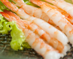 Shrimp Sashimi